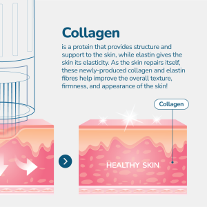 Collagen info graphic 2